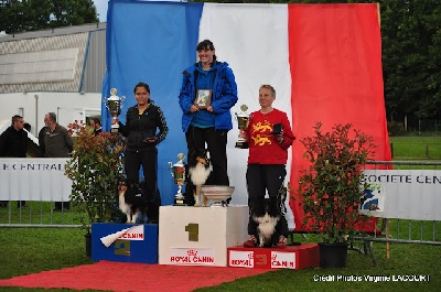 des Farfadets de la Pinede - Cooper champion de France  d'agility 2012