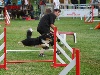  - Champion de France d'agility