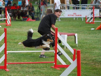 des Farfadets de la Pinede - Champion de France d'agility