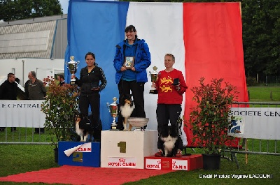 des Farfadets de la Pinede - Cooper champion de France d'agility 2012