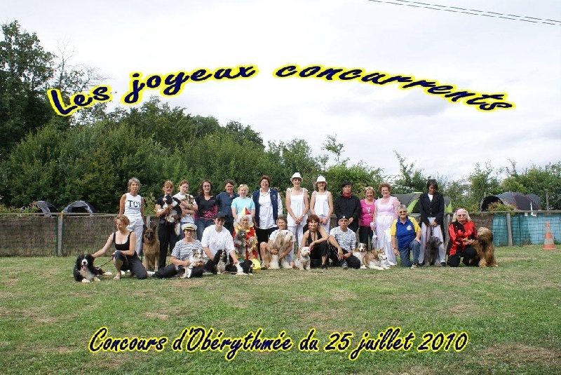 Crystal et Booster en concours d'obé - duo
